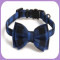 Collar-215
